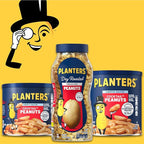 PLANTERS Dry Roasted Peanuts, Plant-Based Protein, Lightly Salted, Peanut Snack, 16 Oz Jar (Pack of 2)