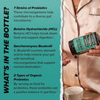 ONNIT Total Gut Health Daily Digestive Support, IGEN™ Non-GMO Tested Digestion Supplement for Women and Men with 7 Strains of Probiotics, Prebiotics, Enzymes and Betaine HCL, 60 Count