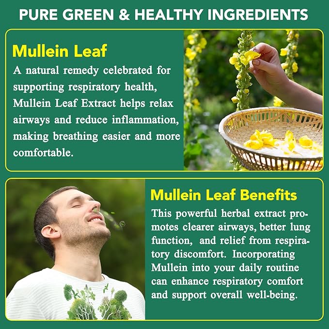 60 Count Mullein Gummies for Lung Cleanse, 2000mg Organic Mullein Leaf Extract for Lung Cleanse and Respiratory Support, Natural Mullein Herbal Supplement, Pear Flavor Gummies