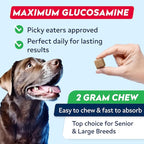 STRELLALAB Senior Advanced Glucosamine Joint Supplement for Dogs - Green Lipped Mussel & Collagen - Large Breeds - Hip & Joint Health - Bacon Flavor - 180 Chews
