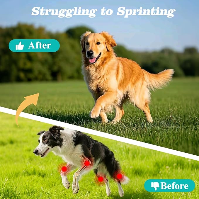 Dog Hip & Joint Supplement – Glucosamine for Dogs Chews with Chondroitin & MSM, Advanced Joint Support for Large & Senior Dogs, Supports Mobility & Everyday Comfort – 180 Count
