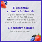 Zarbee's Complete Kids Multivitamin Gummies + Immune Support, Berry Flavor, Honey-Sweetened, Gluten-Free & Gelatin-Free, Vitamins A, C, D3, E, B6, B12, Folic Acid & B-Complex, 70 Count (Pack of 2)