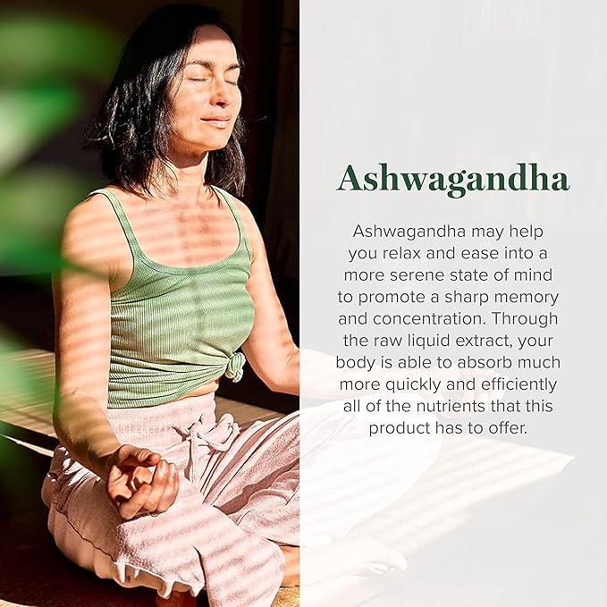 Global Healing Center - Organic Ashwagandha Supplements Drops - KSM-66 Ashwagandha Extra Strength for Men & Women, Helps Promote Relief from Stress, Mood Support, Organic (2 Fl Oz) (Pack of 2)