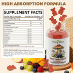 Mushroom Gummies Supplement with Ashwagandha - Lion Mane Mushroom Supplement for Adults Kids with Reishi Cordyceps Brain Supplements for Memory and Focus Organic Vegan Non GMO Mixed Fruit Flavor 60CT