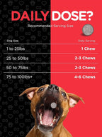 Horbaach Glucosamine for Dogs | 150 Chews | Hip and Joint Supplement | with Chondroitin & MSM | Non-GMO, Gluten Free | by River & RULA