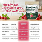 Probiotic Kombucha Gummies with Prebiotics, Probiotics & Postbiotics – Digestive & Gut Health Support – Daily Balance, Bloating Comfort & Microbiome Support – Vegan, Non-GMO, 60 Gummies