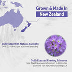 Naturalis Evening Primrose Oil (1300mg) | Natural from New Zealand | Non-GMO, Soy & Gluten Free, Zero Filler | 120 Softgels