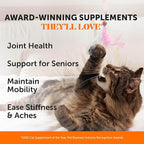 Cat Hip + Joint Health Chews – Crunchy & Creamy Cat Joint Support Supplement - Glucosamine, Chondroitin & Omega-3s – Supports Mobility, Flexibility & Comfort for Indoor & Outdoor Cats (Chicken 90-Day)