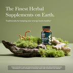 Gaia Herbs Adaptogen Performance - Energy Support Supplement with Ingredients Traditionally Used to Help Sustain Endurance & Stamina* - with Cordyceps & Ashwagandha - 60 Vegan Capsules (60 Servings)