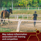 Vita Flex Pro Equinyl Formula with Hyaluronic Acid, Horse Joint Supplement, 3.75 Pounds, 60-Day Supply