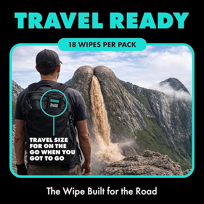 DUDE Wipes Mint Chill Travel Wipes - 6 Packs of 18 (108 Count) - Extra-Large Adult Flushable Wipes - Infused with Tea Tree Oil, Vitamin E, and Aloe - Septic and Sewer Safe