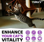 Cat Multivitamin Chews - Cat Vitamins and Supplements - Taurine & Lysine for Cats - Omega-3, Glucosamine, Cranberry - Skin & Coat, Hip & Joint Support - Immune Health, Skin, Heart, Digestion