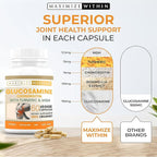 Glucosamine Chondroitin with Turmeric & MSM – Mobility & Flexibility Support – 60 Veggie Capsules