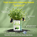 Oil of Oregano with Black Seed Oil + Vitamin D3 | 3 in 1 Oregano Oil 500mg Gummies for Immune Health | Retains High Concentrated Carvacrol & Thymoquinone | Non-GMO, Vegan | 60 Chews