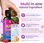 Grevol GLP-1 Support Supplement for Women : Berberine Supplement with Ceylon Cinnamon & Akkermansia for Weight Management - Appetite Suppressant & Metabolism Support – 60 Capsules