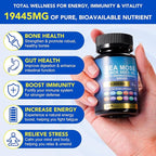 Sea Moss Black Seed Oil Ashwagandha Ginger Turmeric Capsules, Sea Moss Gummies Supplement with Burdock Root Bladderwrack Vitamin C Vitamin D3 Yellow Dock Iodine Chlorophyll ACV - 60 Count