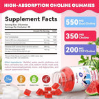 CDP Choline Supplement Gummies 550 mg: Citicoline Brain Supplement for Memory Focus Liver Health with DHA B12, High Potency Sugar Free Vegan Non GMO Watermelon Flavor 30 Days