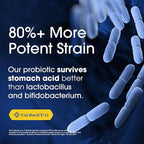 Nutrition Essentials Probiotics for Women and Men - with Lactase Enzyme and Prebiotic Fiber for Digestive Health - 80 Percent + More Potent Supplement for Gut Health Support - Vegan Formula
