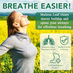 Mullein Gummies for Lung Detox, 2000mg Mullein Leaf Extract for Respiratory & Digestive & Immune Support w/Quercetin, Bromelain, Elderberry & Marshmallow, Vegan 120 Gummies (2 packs 120 gummies)