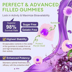 Totaria 2 PCS Sugar Free 5-in-1 Probiotic Prebiotic Postbiotic Gummy, 36 Strains Probiotics for Women Men with Digestive Enzymes, Peppermint, Complete Immune, Gut & Digestive Support, Grape Flavor