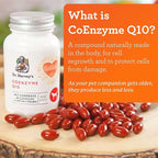 Dr. Harvey's Coenzyme Q10 - Heart & Cardiovascular Support Supplements for Dogs, 60 Capsules