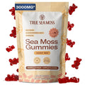 TrueSeaMoss Gummies 3000mg – Irish Sea Moss with Bladderwrack & Burdock Root – 3-in-1 Formula – Fruity Flavor – 60 Gummies