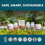 Host Defense CordyChi Capsules - Energy & Immune Support Supplement - Cordyceps & Reishi Mushroom Supplement for Relaxation & Respiratory Support - Aids Against Tiredness - 60 Capsules (30 Servings)*