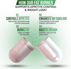 Fat Burner & Appetite Control Weight Loss Supplements for Women & Men - Metabolism Booster w/ L-Carnitine, CLA, Chromium - Appetite Suppressant for Weight Loss - 30 Capsules