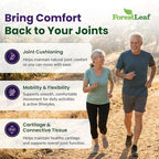 ForestLeaf Glucosamine Chondroitin MSM Joint Supplement Complex - 1200mg - 120 Caps