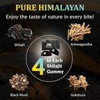 Best Naturtals Shilajit Gummies from Himalayan - 60 ct - Made with Ashwagandha, Black Musli, and Gokshura