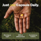 IMMY Doctor-Developed Inflammation Support - 30 Capsules - Supports Healthy Inflammatory Response & Immune Resilience - Paleobiotic, Daily Inflammation Control