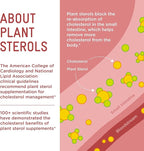 Plant Sterols Healthy Cholesterol Gummy Supplement (2280 mg Plant Sterol Esters Per Day): Clinical Strength, Vegan (112 Gummies)