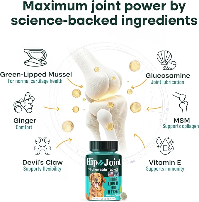 Natureflow Hip & Joint Supplement for Dogs, 300mg Green-Lipped Mussel for Dog Arthritis Pain Relief, Glucosamine, MSM & Chondroitin, Zero Sugar, Large Medium Small Breeds, 50 Chewable Tablets