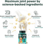 Natureflow Hip & Joint Supplement for Dogs, 300mg Green-Lipped Mussel for Dog Arthritis Pain Relief, Glucosamine, MSM & Chondroitin, Zero Sugar, Large Medium Small Breeds, 100 Chewable Tablets
