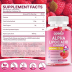 2 Pack Alpha Lipoic Acid Gummies 600mg, High Absorption Chewable ALA Supplement for Antioxidant Support, Raspberry Flavor, Vegan, Sugar Free, 120 Count