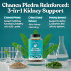 Chanca Piedra Stone Breaker - The Original Stone Breaking Formula with Celery Seed & Parsley - Supports Kidney, Gallbladder & Urinary Tract Cleansing to Help Flush Impurities - 60 Vegetarian Capsules