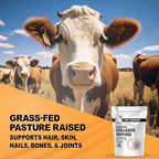 It's Just! - Collagen Peptides (1.25lb) Grass-Fed Protein Powder, Unflavored, GLP-1 Friendly, Heavy Metal Tested by 3rd Party Lab, Type I & III, Hydrolyzed to Dissolve Quickly, 20oz