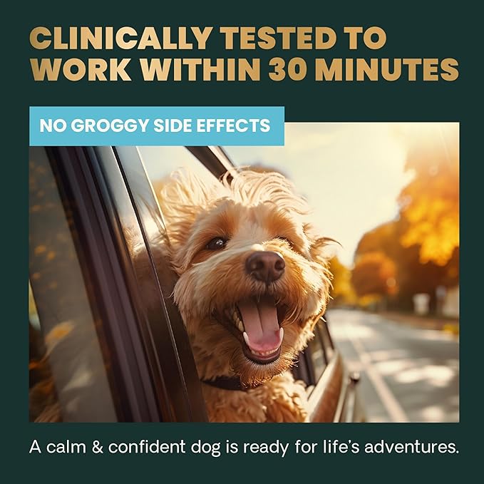 VetriScience Calm & Confident Chews, Composure Clinically Tested Calming and Anxiety Supplement for Dogs, Reduce Stress and Fear, Ideal for Thunderstorms, Fireworks and Travel, Bacon, 120 Count