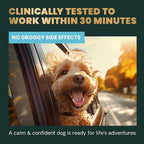 VetriScience Calm & Confident Chews, Composure Clinically Tested Calming and Anxiety Supplement for Dogs, Reduce Stress and Fear, Ideal for Thunderstorms, Fireworks and Travel, Bacon, 120 Count
