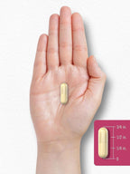 Carlyle Menopause Supplement for Women | 180 Capsules | Helps with Hot Flashes and Night Sweats | Non-GMO, Gluten Free Menopause Support