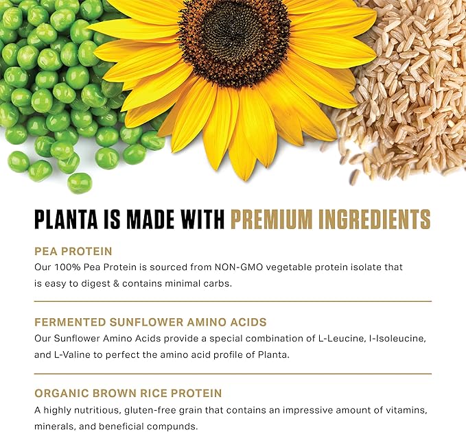 Ambrosia Planta - Plant-Based Protein Powder 20g | Dairy Free Vegan Protein Powder with BCAA Amino Acids | Keto-Friendly, No Added Sugar | 25 Servings | Vanilla
