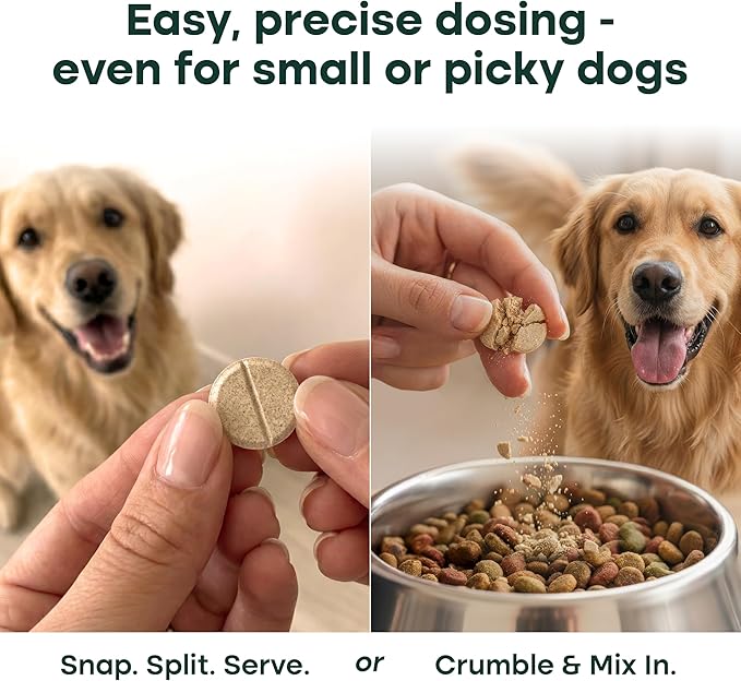 Natureflow Hip & Joint Supplement for Dogs, 300mg Green-Lipped Mussel for Dog Arthritis Pain Relief, Glucosamine, MSM & Chondroitin, Zero Sugar, Large Medium Small Breeds, 100 Chewable Tablets