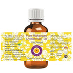 Deve Herbes Pure Jyotishmati Oil 100ml X 2 (6.76 oz)