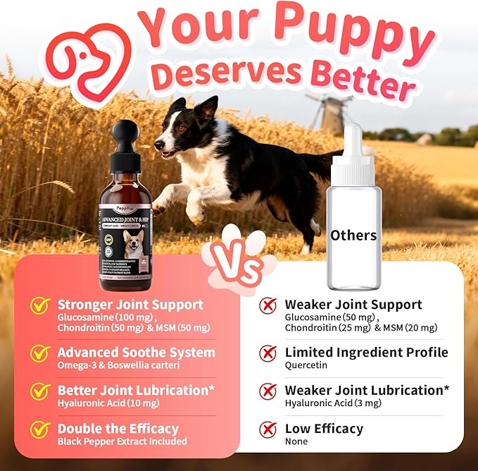 Joint Supplement for Dogs - 10 in 1 Hip and Joint Supplement Drops with Hyaluronic Acid, Liquid Glucosamine for Dogs with Chondroitin, MSM & Omega 3-2 FL.Oz - for All Breeds & Sizes