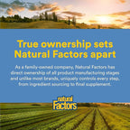 Natural Factors Wild Alaskan Salmon Oil Provides Omega-3, EPA, DHA & Vitamin D, Supports Brain & Heart Health, 180 Softgels
