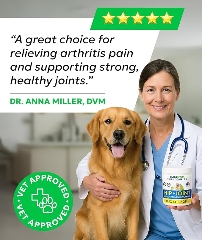 BARK&SPARK Senior Advanced Glucosamine Chondroitin for Dogs - Hip Joint Pain Relief - Old Dog Joint Chews Large & Small Breed - Hip Joint Chews Joint Health Care Treats - 240Ct