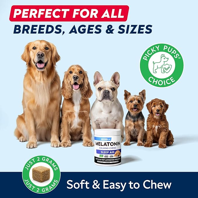 STRELLALAB Melatonin for Dogs to Sleep 6mg - Doggie Sleep Aid Treats - Sleeping Pills for Anxiety - Extra Strength Calming Chews Large & Medium Breed Help Sleep at Night - Made in USA - 60Ct
