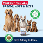 STRELLALAB Melatonin for Dogs to Sleep 6mg - Doggie Sleep Aid Treats - Sleeping Pills for Anxiety - Extra Strength Calming Chews Large & Medium Breed Help Sleep at Night - Made in USA - 60Ct