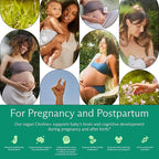 Needed. Prenatal Choline+ Liquid Capsules for Cognitive Development - Choline Supplements For Pregnancy - Aids Baby Brain Development & Supports Healthy Pregnancy - Third Party Tested - 30 Liquid Caps