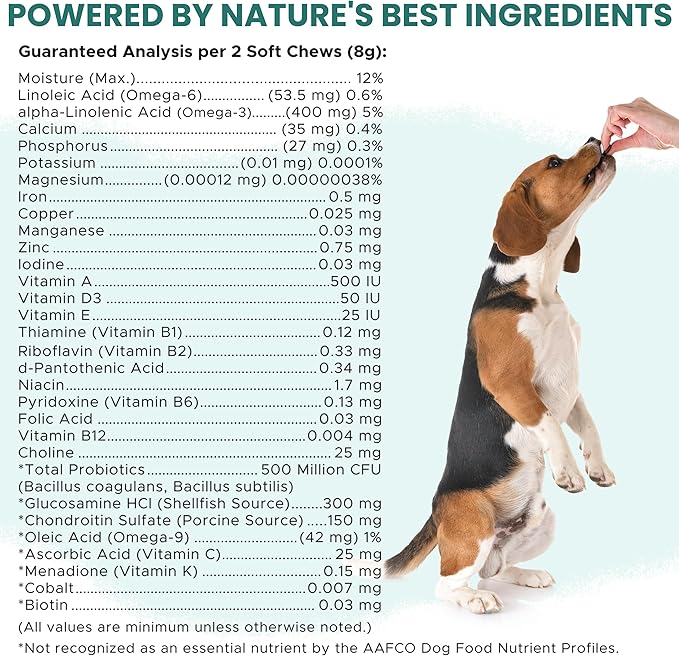 12-in-1 Dog Multivitamin Soft Chews, 120 Count - Vitamins & Supplements, Glucosamine Chondroitin, Probiotics, Omega 3 - Hip & Joint, Skin & Coat, Immune Support for Puppy & Senior Dogs - Chew + Heal
